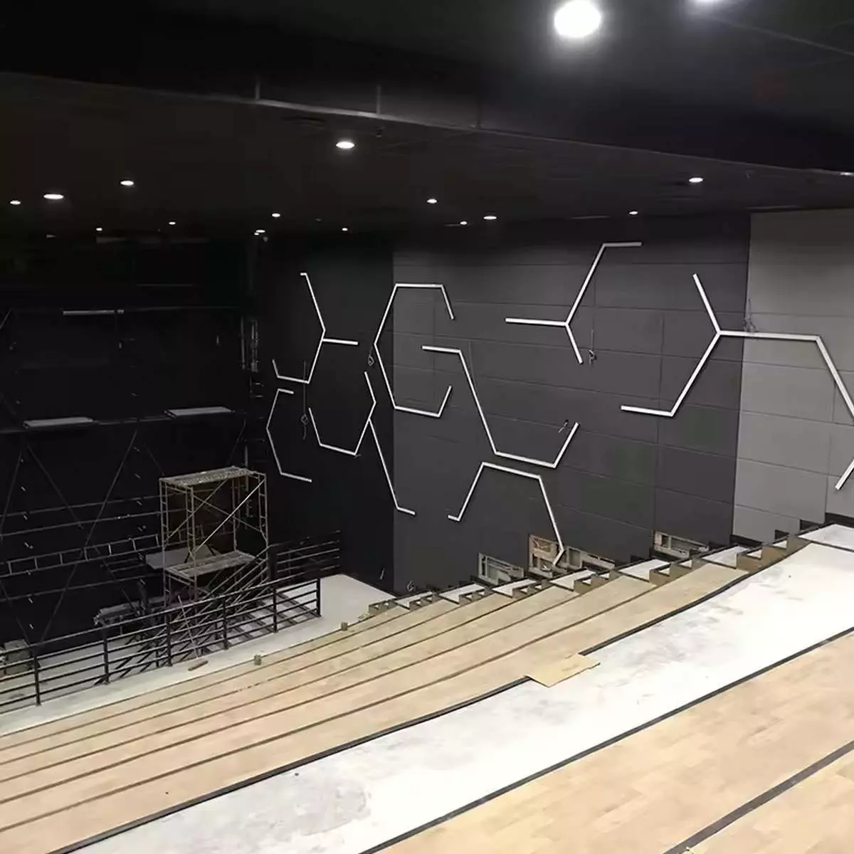 beautiful pet acoustics
